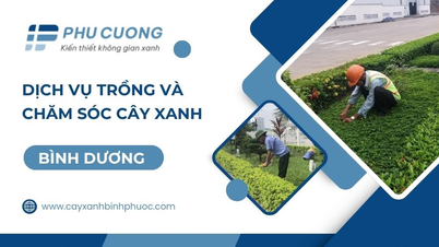 5 fremragende landskapsarkitektfirmaer i Sørøst-Vietnam: Phu Cuong og Hoang Minh LS er blant dem.