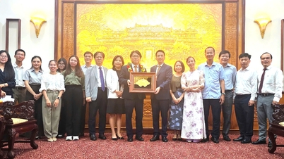 Korean businessman honored as "Honorary Citizen of Hue City"