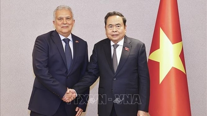 Der Vorsitzende der Nationalversammlung, Tran Thanh Man, empfängt den Honorarkonsul von Vietnam in Istanbul.