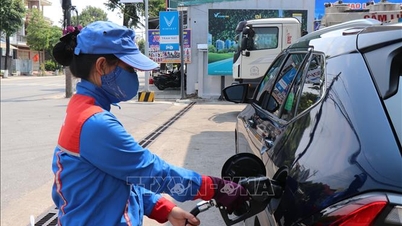Diversas propostas foram apresentadas para remover os obstáculos à gasolina E10 'antes do prazo final'.