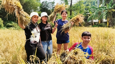 សិស្សានុសិស្ស​រៀន​ធ្វើស្រែចម្ការ និង​នេសាទ​នៅ «ថ្នាក់រៀន» មួយ​នៅ​កណ្តាល​ព្រៃ​ឈូងសមុទ្រ Yang Bay។