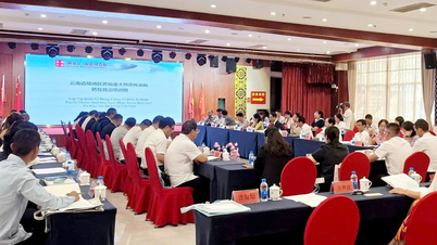 Lao Cai participe à l'atelier de coopération transfrontalière Chine-Vietnam sur la lutte contre les maladies tropicales.