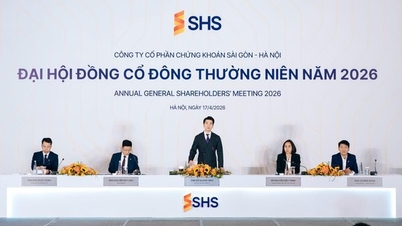 SHS menyetujui rencana tahun 2026, meningkatkan modal menjadi lebih dari 10.000 miliar VND.