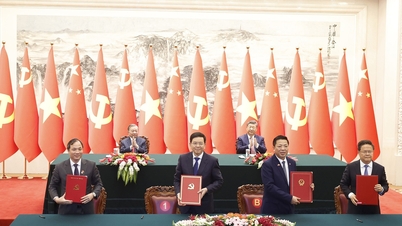 Details of the 32 cooperation documents signed between Vietnam and China.