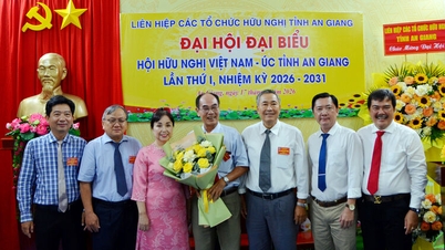 O Sr. Dao Thanh Hoa foi eleito Presidente da Associação de Amizade Vietnã-Austrália da província de An Giang.