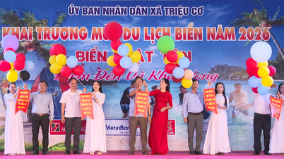 Opening of the Nhat Tan beach tourism season in 2026
