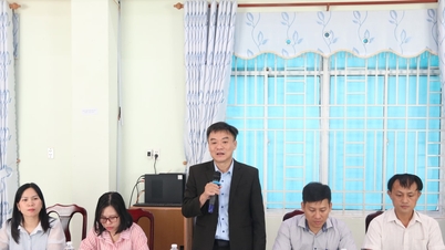El Da Nang City Medical College colabora con el Grupo Kameda (Japón) en la formación y el suministro de recursos humanos.