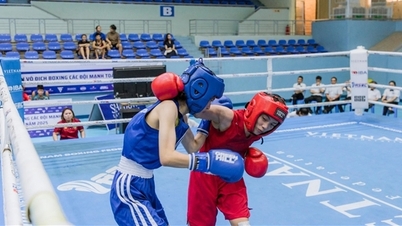 Vietnamská boxerská federace má nového prezidenta.