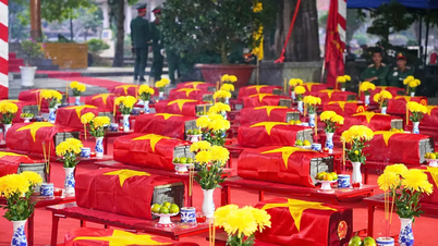Tay Ninh launches a 500-day and night campaign to search for and collect the remains of fallen soldiers.