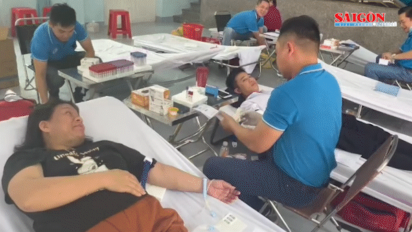 Over 300 people participated in blood donation in Tam Long ward.