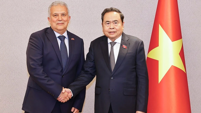 El presidente de la Asamblea Nacional, Tran Thanh Man, recibe al cónsul honorario de Vietnam en Estambul (Turquía).
