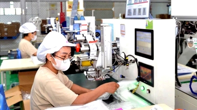 하이퐁은 차세대 산업 투자 자본을 적극적으로 환영합니다.