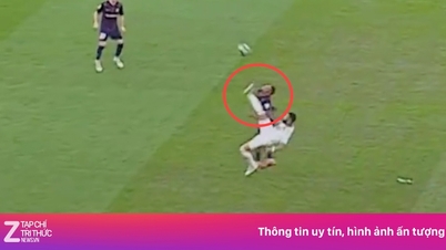 The AFC Champions League match was marred by violence.