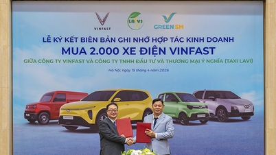 قامت شركة لافي تاكسي بشراء 2000 سيارة كهربائية من طراز VinFast لاستبدال أسطولها الكامل من السيارات التقليدية التي تعمل بالبنزين.