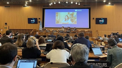 Η UNESCO επεκτείνει τις άδειες δύο επιστημονικών κέντρων Κατηγορίας II στο Βιετνάμ.