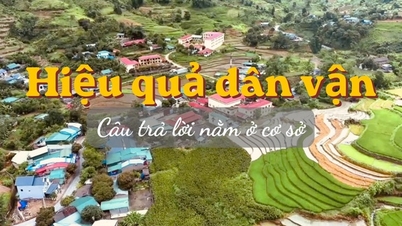 효과적인 대중 동원: 해답은 풀뿌리 운동에 있다.