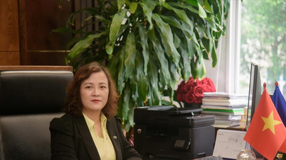Professeure Dinh Thi Mai Thanh : « Quand on fait de la science avec passion, chaque résultat est précieux. »