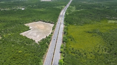 La città di Ho Chi Minh incarica alcune aziende di studiare un progetto per l'ammodernamento di Rung Sac Road.