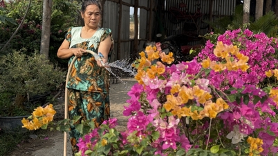 Tay Ninh strebt an, dass bis 2030 80 % der ländlichen Haushalte Zugang zu sauberem Wasser haben.