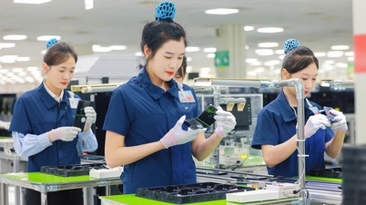 บั๊กนิญ: การส่งออกเติบโตอย่างรวดเร็ว รักษาตำแหน่งผู้นำตลาดไว้ได้