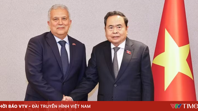 Promouvoir le rôle de pont pour favoriser les relations Vietnam-Turquie.