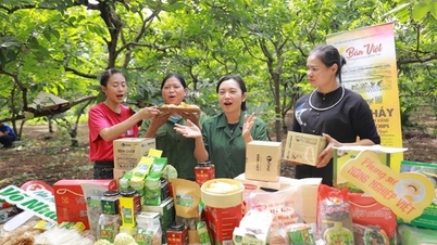 Bringing agricultural products to e-commerce platforms: A strategic direction for the digital economy of agriculture.