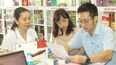 The Ministry of Health is implementing a plan to enforce Decree 90 on penalties for health violations.