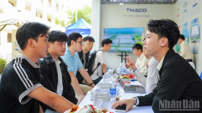 Da Nang: Más de 8.000 oportunidades laborales para estudiantes en la Feria de Empleo Politécnica de 2026.