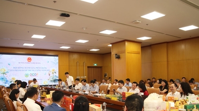 Perusahaan Gabungan Peternakan Lebah Tam Dao memiliki 4 produk yang diakui sebagai produk OCOP bintang 5.