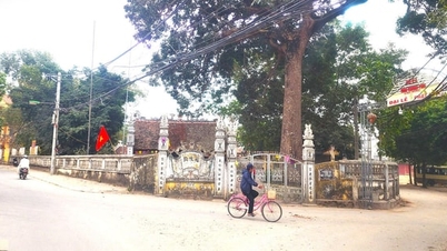 Hanoi: Nakazano wstrzymanie budowy nielegalnych obiektów w pagodzie Bao Thap (gmina Dai Thanh).