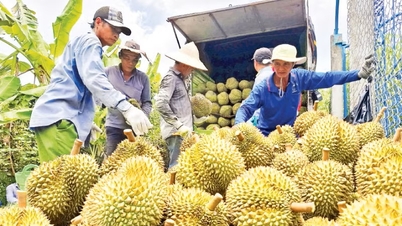 Quản lý, tổ chức sản xuất theo chuỗi giá trị