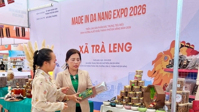 ការផ្សព្វផ្សាយផលិតផលតំបន់ខ្ពង់រាបនៅឯពិព័រណ៍ Made in Da Nang Expo 2026។