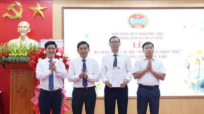 Hy Cuong Commune میں ملینیئر فارمرز کلب کا آغاز۔