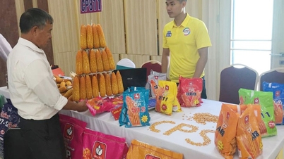 Son La ensures food security during the 2021-2025 period, aiming for sustainable development.