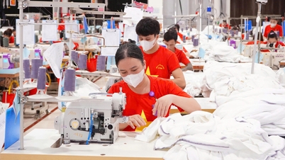 Bedrijven in Bac Ninh streven ernaar nieuwe markten te veroveren.