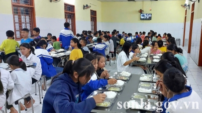 Enhancing food safety in collective kitchens and schools.