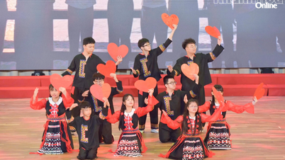 XIII Festival de Artes de la Provincia de Khanh Hoa para Personas con Discapacidad