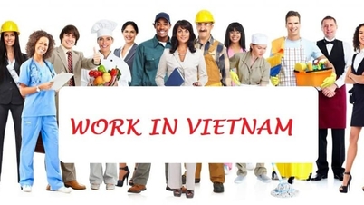 Issuing regulations on the management of foreign workers in Da Nang city.