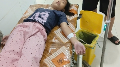 न्घे आन में ब्रेड खाने के बाद फूड पॉइजनिंग के संदेह में 20 से अधिक लोगों को अस्पताल में भर्ती कराया गया है।