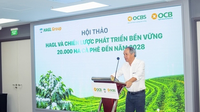 Immediately after the shareholders' meeting, Mr. Duc registered to buy 4 million HAG shares.