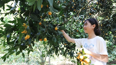 Growing specialty crops in conjunction with developing garden tourism.