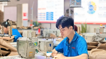 The career path of young workers in Dong Nai