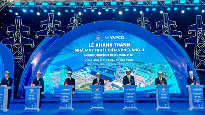 Se inaugura la central termoeléctrica Vung Ang II.
