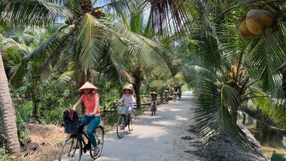 Vinh Long se centra en el desarrollo del turismo verde.
