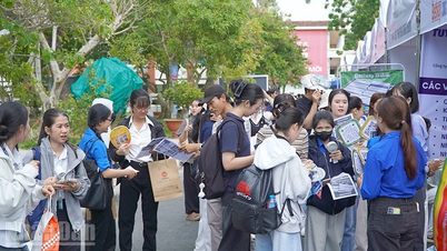 Đồng Tháp: Kết nối gần 3.000 chỉ tiêu việc làm cho sinh viên