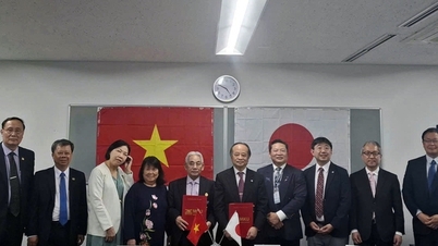 Uniwersytet w Japonii nawiązał współpracę z Uniwersytetem Cuu Long.