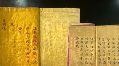 阮朝時代の古代文書34点が一般公開される。