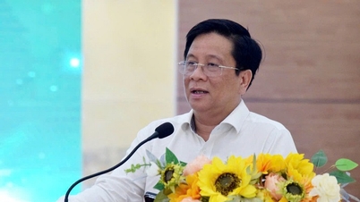An Giang promotes green development and social responsibility.