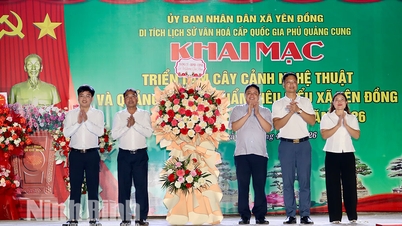A Yen Dong Commune első bonsai művészeti kiállításának megnyitója 2026