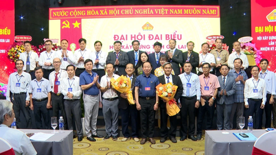 លោក ត្រឹន វៀតបាវ ត្រូវបានជ្រើសតាំងជាប្រធានសមាគមសំណង់ខេត្តយ៉ាឡាយ។